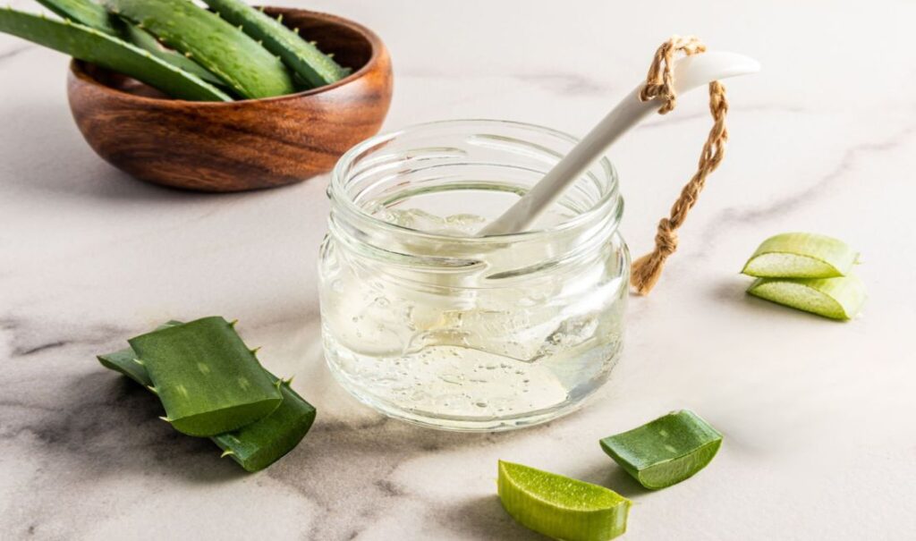 The Healing Powers of Aloe Vera for Ulcerative Colitis 2